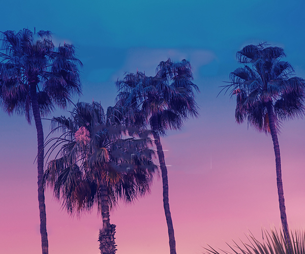 spot_img